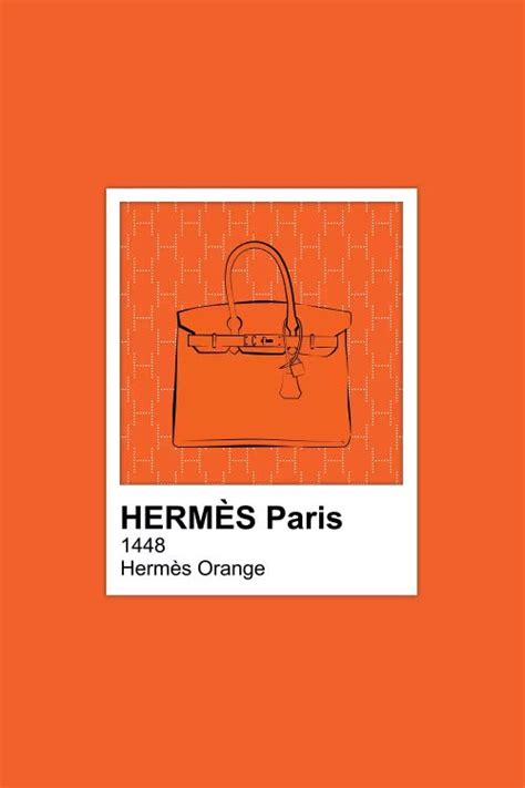 hermes burnt orange pantone|tiffany blue hermes orange.